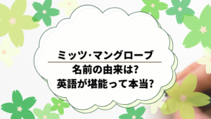 ミッツ マングローブの名前の由来は 英語が堪能って本当 穏やかに暮らしたい主婦のブログ